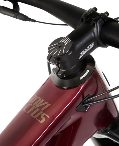 Bicicleta Invictus G3 Evo SSL