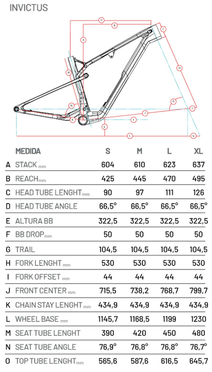 Bicicleta Invictus G3 Evo SSL