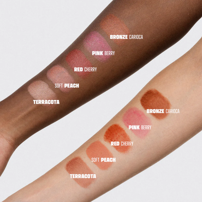 Blush Pink Cheeks All in One FPS30 / FPUVA10